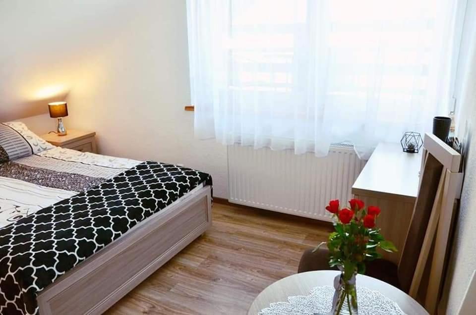 Pokoje Goscinne "Trudzin-Ski" Świeradów-Zdrój Esterno foto